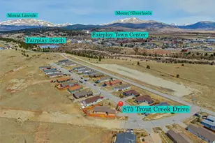 875 Trout Creek Dr, Fairplay, CO 80440 - Photo 24