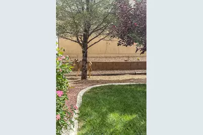 293 W Hahns Peak Avenue, Pueblo West, CO 81007 - Photo 42