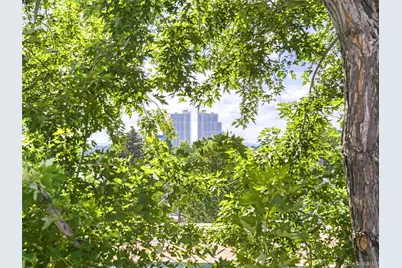 790 N Clarkson Street #204, Denver, CO 80218 - Photo 26