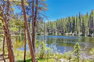 185 Lotus Lon Dr, Leadville, CO 80461 - Photo 12