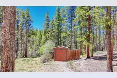 185 Lotus Lon Drive, Leadville, CO 80461 - Photo 34