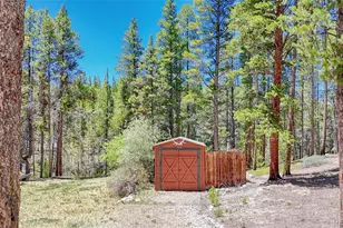 185 Lotus Lon Dr, Leadville, CO 80461 - Photo 34