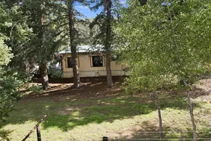 5099 Co Rd 64, Bailey, CO 80421 - Photo 22