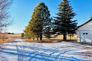 24988 Ben Kelly Rd, Elbert, CO 80106 - Photo 4