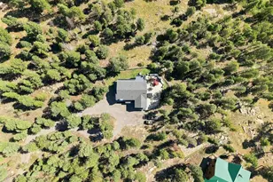 13272 Riley Peak Rd, Conifer, CO 80433 - Photo 44