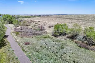 10319 Nottingham Dr, Parker, CO 80134 - Photo 36