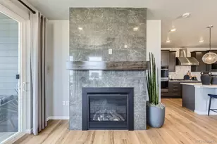 13757 Daffodil Pt, Parker, CO 80134 - Photo 14