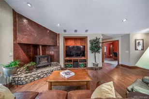 1087 Tenderfoot Dr, Larkspur, CO 80118 - Photo 12