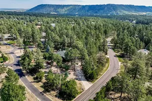 1087 Tenderfoot Dr, Larkspur, CO 80118 - Photo 50