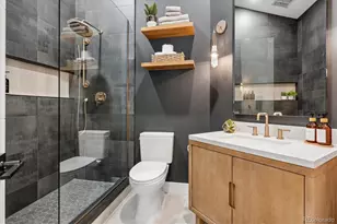 22 Borealis Way, Castle Rock, CO 80108 - Photo 14