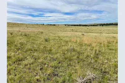 32011 Cattle Circle, Ramah, CO 80832 - Photo 6