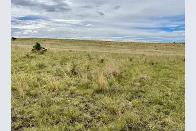 32011 Cattle Circle, Ramah, CO 80832 - Photo 8