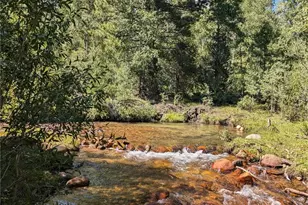 13288 County Rd 261 P, Nathrop, CO 81236 - Photo 6