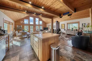 13288 County Rd 261 P, Nathrop, CO 81236 - Photo 4