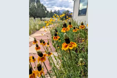 13288 County Road 261P, Nathrop, CO 81236 - Photo 34