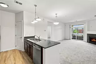 4100 Albion Street, Denver, CO 80216 - Photo 10