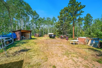 106 Forest Court, Florissant, CO 80816 - Photo 22