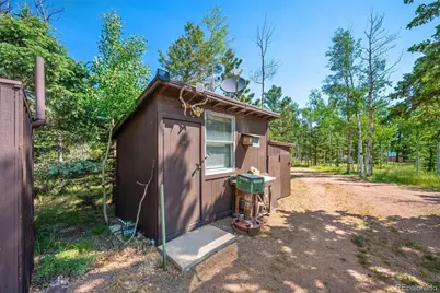 106 Forest Court, Florissant, CO 80816 - Photo 16