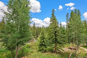 10000 Ryan Gulch Rd, Silverthorne, CO 80498 - Photo 14
