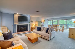 2510 Ryan Gulch Rd, Silverthorne, CO 80498 - Photo 2