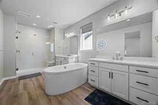 815 Simmental Loop, Castle Rock, CO 80104 - Photo 18