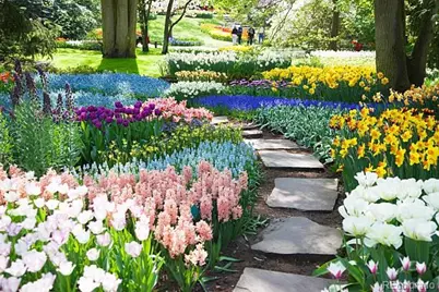 1355 Gaylord Street #4, Denver, CO 80206 - Photo 24