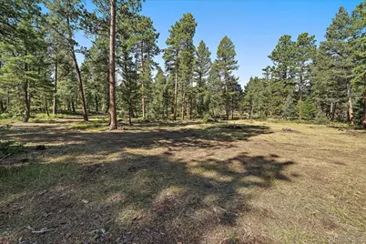 0 Evergreen Drive, Conifer, CO 80433 - Photo 2