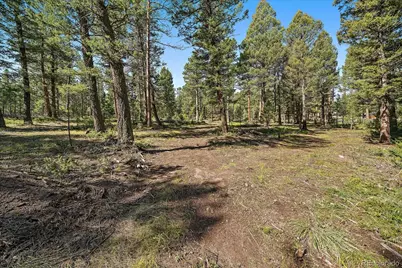 0 Evergreen Drive, Conifer, CO 80433 - Photo 22