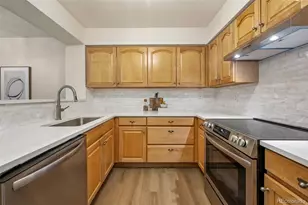 13291 Holly St, Thornton, CO 80241 - Photo 12