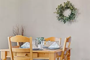 803 Lakepoint Ct, Frisco, CO 80443 - Photo 14