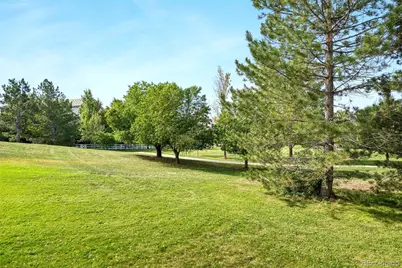 10392 Dunsford Drive, Lone Tree, CO 80124 - Photo 44