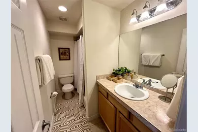 1833 N Williams Street #401, Denver, CO 80218 - Photo 14