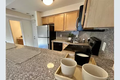 1833 N Williams Street #401, Denver, CO 80218 - Photo 12