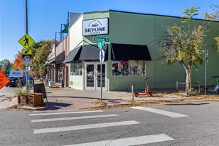 1057 N Emerson Street, Denver, CO 80218 - Photo 40