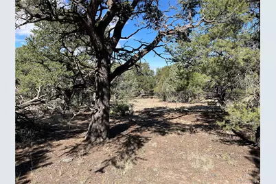 3545 Fallen Tree Place, Crestone, CO 81131 - Photo 4