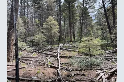 Lot 6076 Starkweather Road, San Luis, CO 81152 - Photo 24