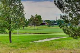 9030 Old Tom Morris Cir, Littleton, CO 80129 - Photo 46