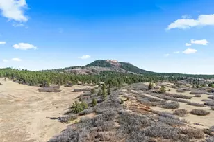 3090 S Perry Park Rd, Sedalia, CO 80135 - Photo 1