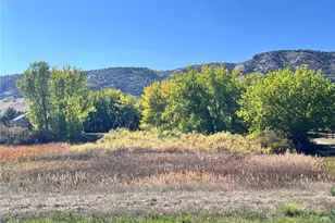 9766 S Holland St, Littleton, CO 80127 - Photo 28