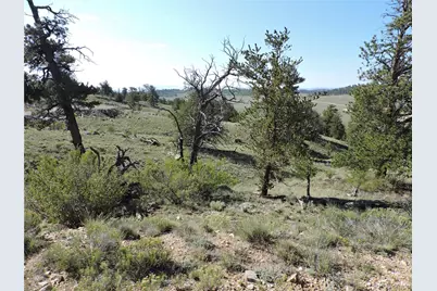 640 Arapaho Trail, Hartsel, CO 80449 - Photo 22