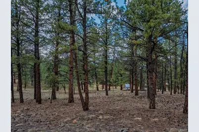 41 & 73 Ingels Drive, Florissant, CO 80816 - Photo 12