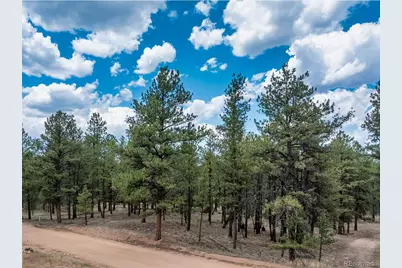 41 & 73 Ingels Drive, Florissant, CO 80816 - Photo 14