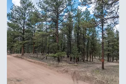 41 & 73 Ingels Drive, Florissant, CO 80816 - Photo 16