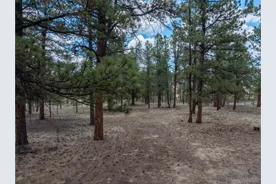 41 & 73 Ingels Drive, Florissant, CO 80816 - Photo 2