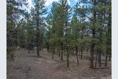 41 & 73 Ingels Drive, Florissant, CO 80816 - Photo 8