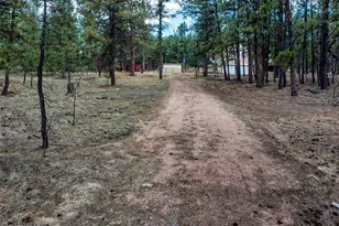41 & 73 Ingels Dr, Florissant, CO 80816 - Photo 1