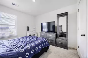 761 N Amory St, Watkins, CO 80137 - Photo 22