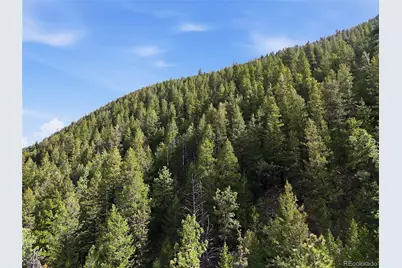 2238 Stanley Road, Idaho Springs, CO 80452 - Photo 12