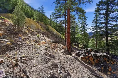 2238 Stanley Road, Idaho Springs, CO 80452 - Photo 4