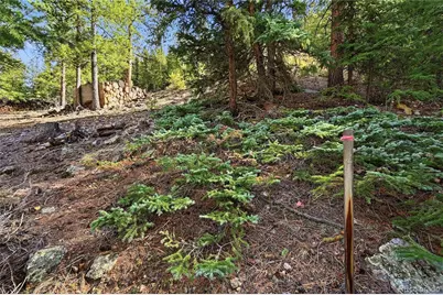 2238 Stanley Road, Idaho Springs, CO 80452 - Photo 6